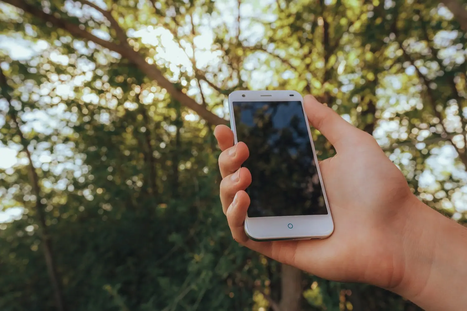 Jak skutecznie oczyścić pamięć cache w smartfonie